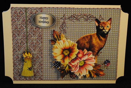 Abyssinian cat in Autumn by Yvonne Middleton