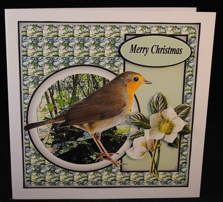 Christmas Rose by Yvonne Middleton