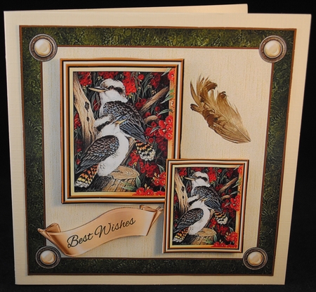 Australian Kookaburras by Yvonne Middleton