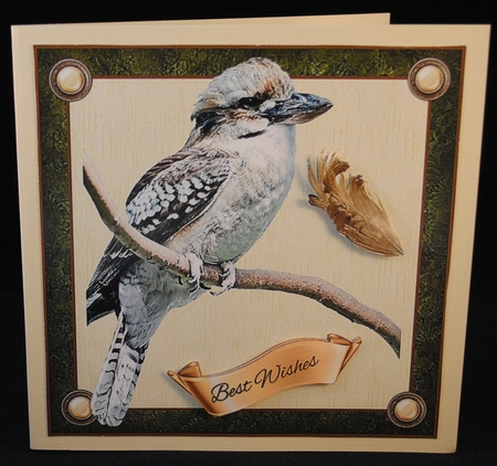 Kookaburra by Yvonne Middleton