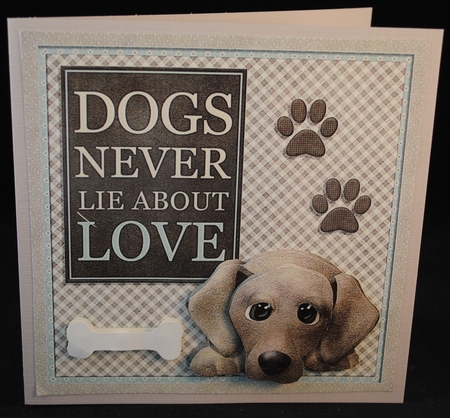 Dogs never lie by Yvonne Middleton