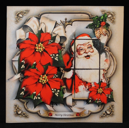 Traditional Santa Claus with Red Poinsettias Mini Kit by Yvonne Middleton