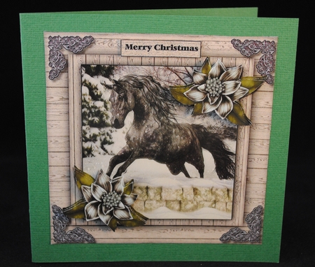 Male Card beautiful Horse & Winter Flowers 1 by Yvonne Middleton
