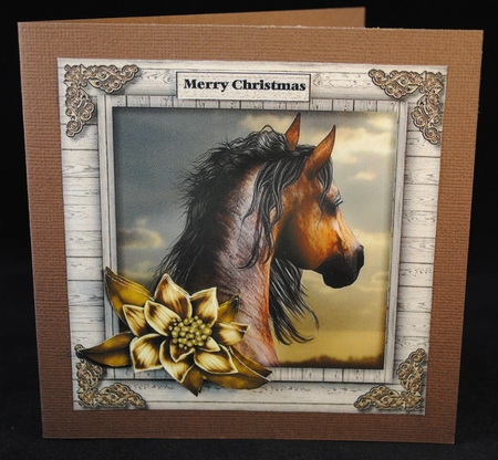 Male Card beautiful Horse & Winter Flowers 3 by Yvonne Middleton