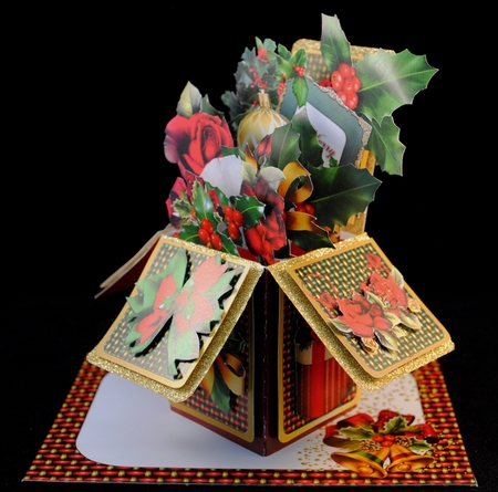 POP UP BOX CARD 3D DECOUPAGE KIT - HOLLY AND ROSES by Yvonne Middleton