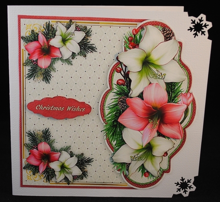 Over The Edge Festive Amaryllis  by Yvonne Middleton