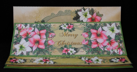 LARGE DL EASEL 3D CARD AND ENVELOPE - CHRISTMAS AMARYLLIS by Yvonne Middleton