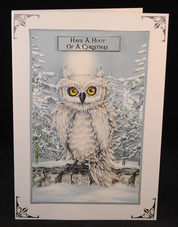 Have a Hoot of a Christmas 2 by Yvonne Middleton