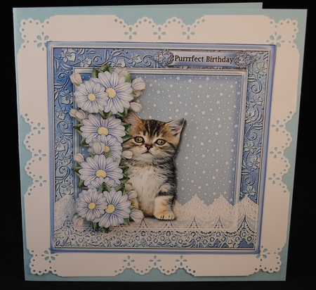 Cute Kitten purrrfect christmas & birthday by Yvonne Middleton