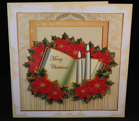 Christmas Book & Poinsettias by Yvonne Middleton