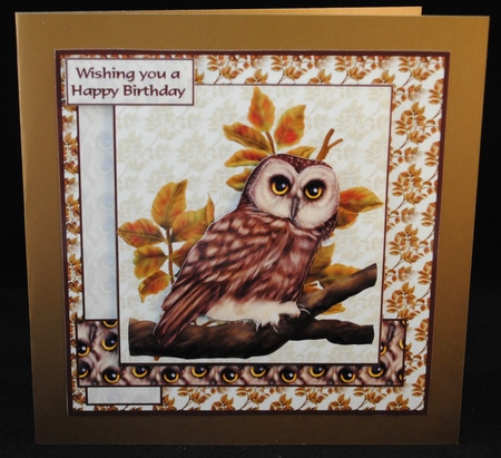 A very wise owl by Yvonne Middleton