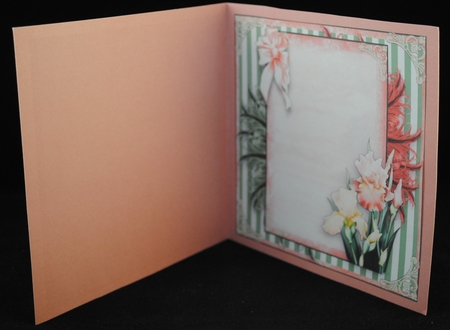 Beautiful Blush Iris and Feathers Card Front Kit by Yvonne Middleton
