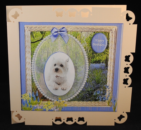 SPRING WESTIE by Yvonne Middleton