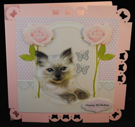  Cute  Kitten In Vintage Frame 2 by Yvonne Middleton
