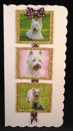WESTIE PICTURE FRAME TOPPERS X 3 ANY OCCASION by Yvonne Middleton