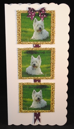 WESTIE PICTURE FRAME TOPPERS X 3 ANY OCCASION by Yvonne Middleton