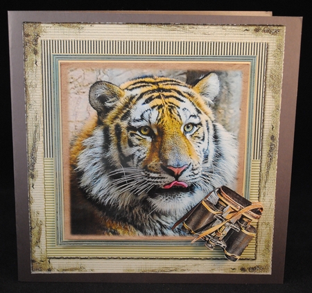 Big Wild Cats  Mini Kit by Yvonne Middleton