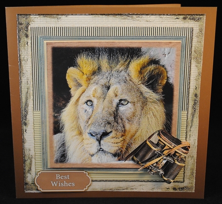 Big Wild Cats  Mini Kit by Yvonne Middleton