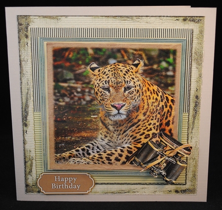 Big Wild Cats  Mini Kit by Yvonne Middleton