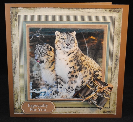 Big Wild Cats  Mini Kit by Yvonne Middleton