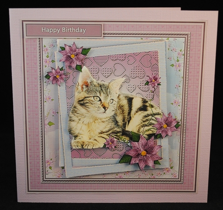 Love my cat by Yvonne Middleton