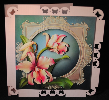 Aloha Orchids by Yvonne Middleton