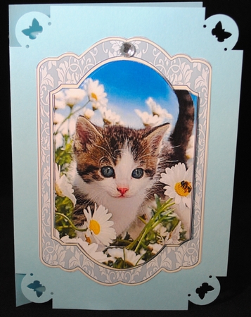 Our Furry Friends 3 by Yvonne Middleton
