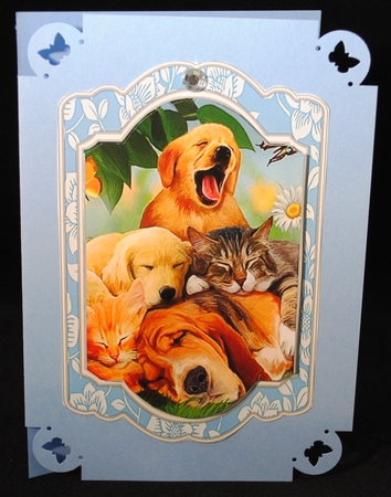 Our Furry Friends 3 by Yvonne Middleton