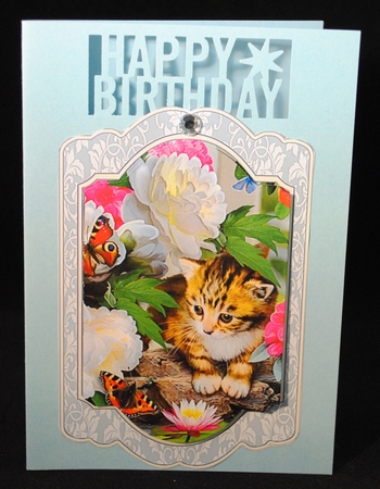Our Furry Friends 4 by Yvonne Middleton