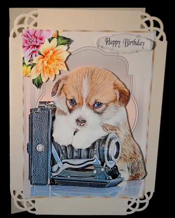 Welsh Corgi Puppy with an Old Camera by Yvonne Middleton