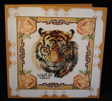 Painted Tiger Card Front by Yvonne Middleton