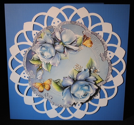 Blue mist rose  by Yvonne Middleton