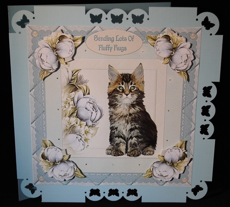 Fluffy Cat Card Front by Yvonne Middleton