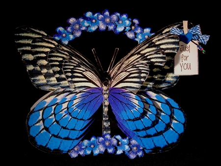 Butterfly Shaped A-Frame Card - 44 by Yvonne Middleton