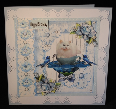 Pretty White Cat by Yvonne Middleton