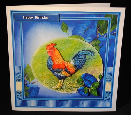 Beautiful Rooster by Yvonne Middleton