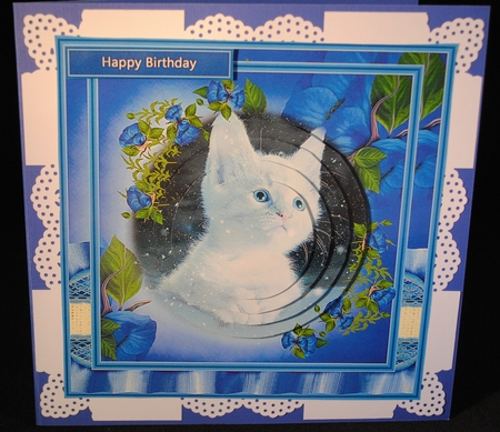 Beautiful Kitten by Yvonne Middleton