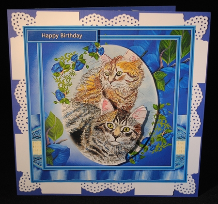 Beautiful Kittens by Yvonne Middleton