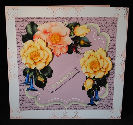 Beautiful Garden roses by Yvonne Middleton