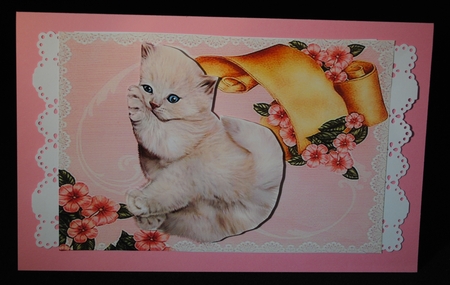 Precious Kitties by Yvonne Middleton