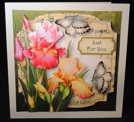 Sheet Music Plaque - Blush Iris by Yvonne Middleton
