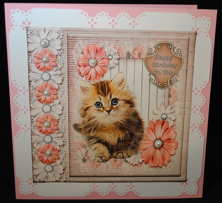 Cute Looking Kitten  by Yvonne Middleton