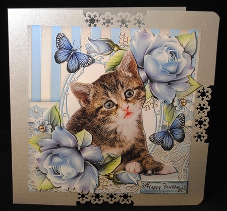 Cat Bumper Kit by Yvonne Middleton