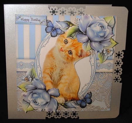 Cat Bumper Kit by Yvonne Middleton