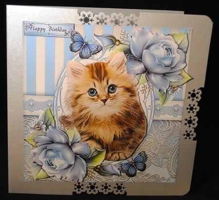 Cat Bumper Kit by Yvonne Middleton