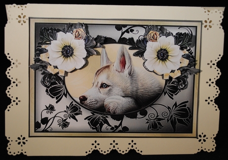 Beautiful Dog In Roses Frame by Yvonne Middleton
