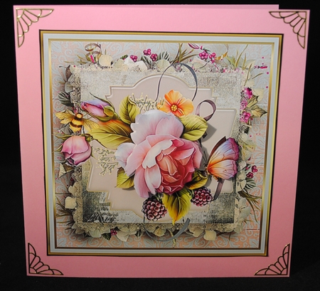 Summer rose by Yvonne Middleton