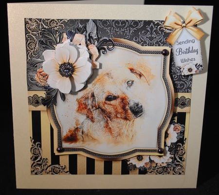 Puppy Dog Eyes by Yvonne Middleton
