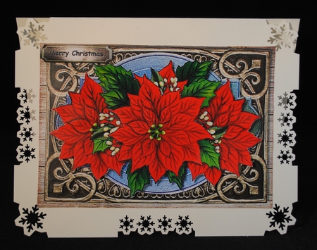 Christmas Shield red Poinsettias by Yvonne Middleton