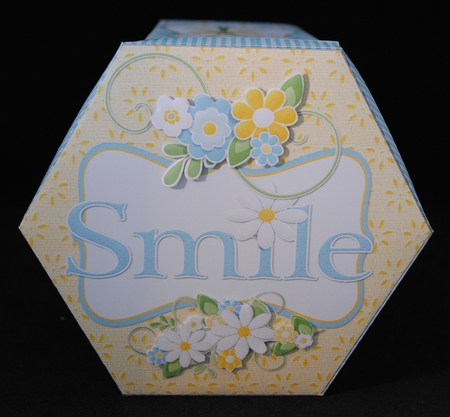 GORGEOUS TALL HEXAGONAL GIFT DECOUPAGE BOX - SMILE by Yvonne Middleton